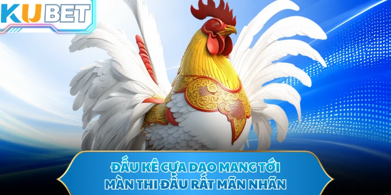 Đấu kê cựa dao mang tới màn thi đấu rất mãn nhãn