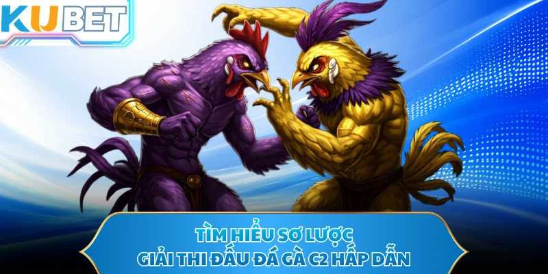 Tìm hiểu sơ lược giải thi đấu đá gà C2 hấp dẫn